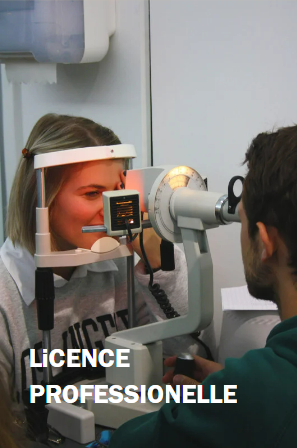 Licence professionnelle
