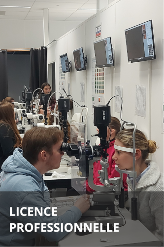 Licence professionnelle